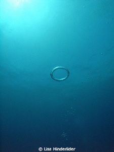 "Willies Ring" by Lisa Hinderlider 